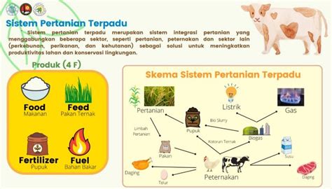 Contoh Sektor Pertanian Dan Peternakan Damionatwilcox