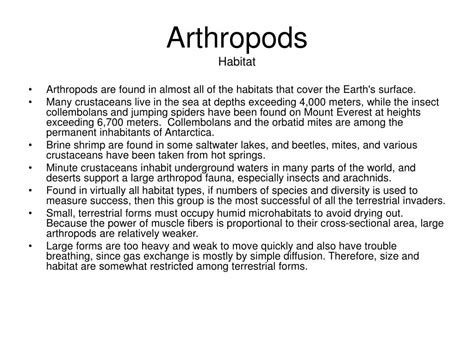 PPT - Arthropods PowerPoint Presentation, free download - ID:92086