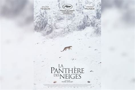 La Panth Re Des Neiges Avec Vincent Munier Et Sylvain Tesson Bande