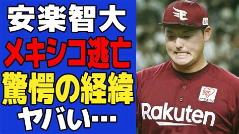 【衝撃】安楽智大がメキシコに逃亡した現在に驚きが隠せないメキシカンリーグ挑戦の理由に一同驚愕！！「球場以外での命の保証はしない」リーグの実態