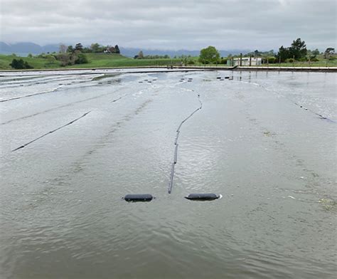 Wastewater Stabilization Ponds Nz Au Lagoon Treatment System