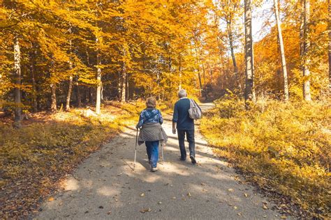 Trasy Nordic Walking Na Pomorzu Aktywny Wypoczynek W R D Przyrody