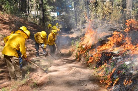 Brechas Cortafuego Una Herramienta Clave En La Lucha Contra Los