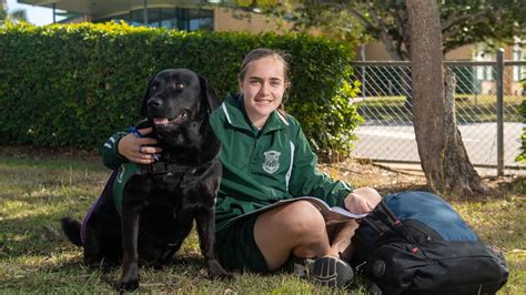 How a school turned an unwanted dog into most loved student | Queensland Times