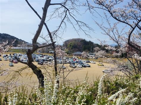 三春町のみなさんの優しさに触れる～桜旅 なんだか幸せ！ありがとう日記 ️