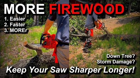 How I Efficiently Quickly And Easily Cut A Tree Up For Firewood Echo