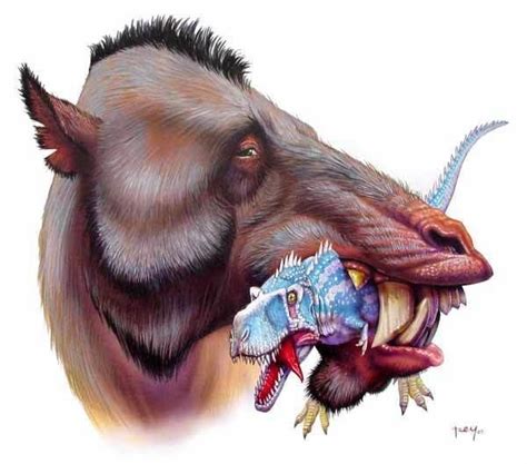 Entelodont - Alchetron, The Free Social Encyclopedia