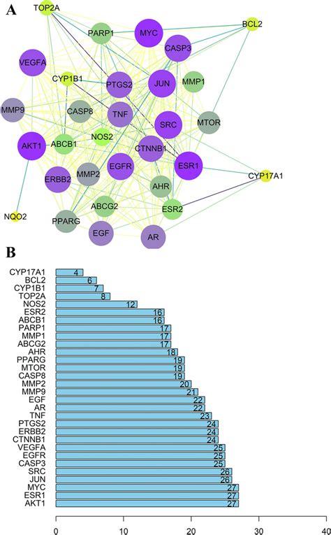 A The Proteinprotein Interaction PPI Network B The Bar Plot Of