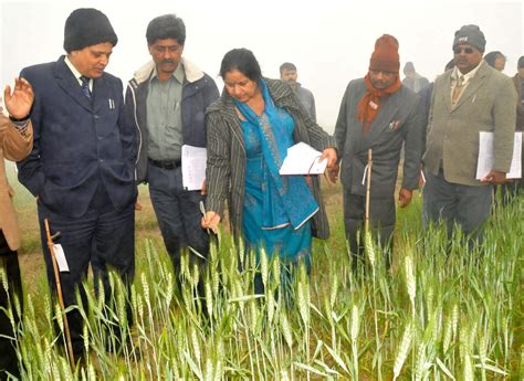 Varanasi View Project Director Visits Agriculture Famr