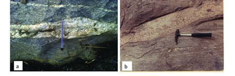 Some of the rocks mapped in the study area. Left-Granite gneiss ...