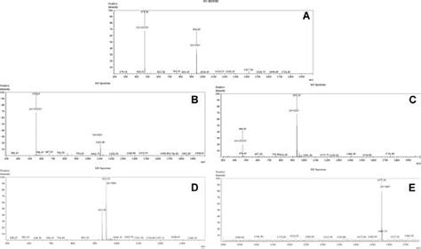 Full Article An Acid Sensitive Nanofiber Conjugate Based On A Short