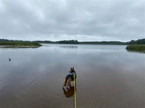 Great Pond Trail - Maine Trail Finder