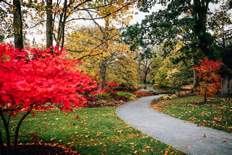 Fall in Ireland: Where to visit the colors of autumn