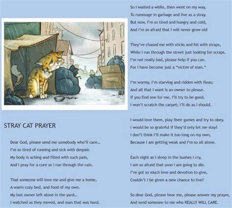 Stray Cat Poem Feral Cats Cat Poems Cat Quotes