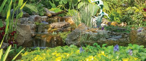 The Latest Trends In Pond Design And Installation - Midwest Pond Features & Landscape