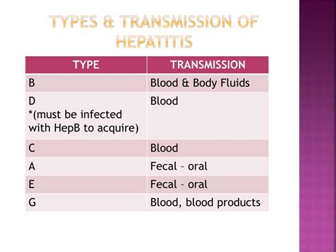 Ppt Hepatitis Powerpoint Presentation Free Download Id 2855719