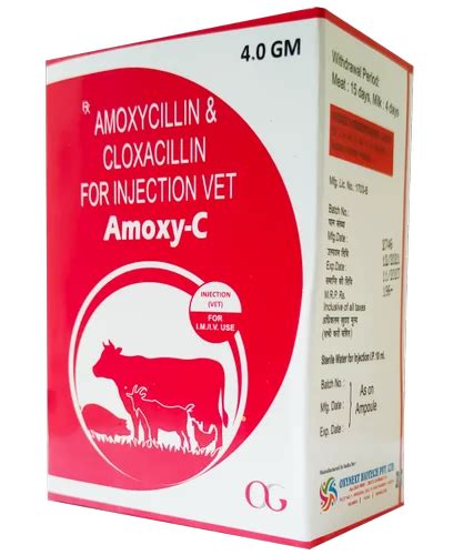 Amoxycillin Cloxacillin Injection Moxel Injection Latest Price