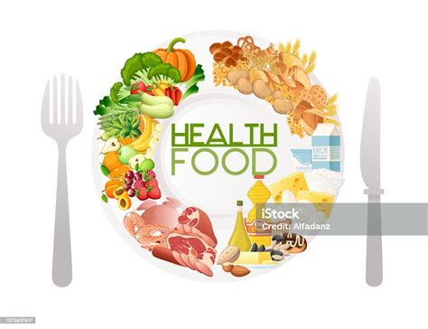 Categories Of Healthy Eating Types Of Food Vector Illustration On White Background Stock ...