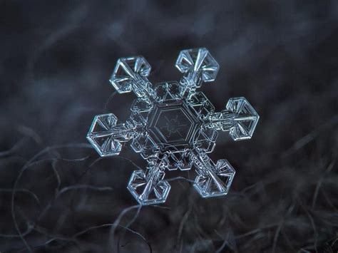 Alexey Kljatov Photographs Stunning Close-Ups of Snowflakes ~ Today ...