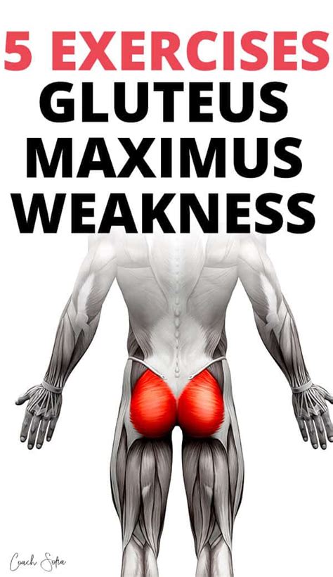 Gluteus Medius Exercises