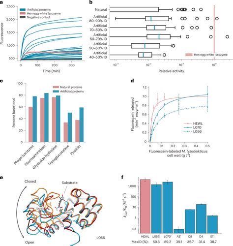 Artificial Protein Sequences Are Functional While Reaching As Low As