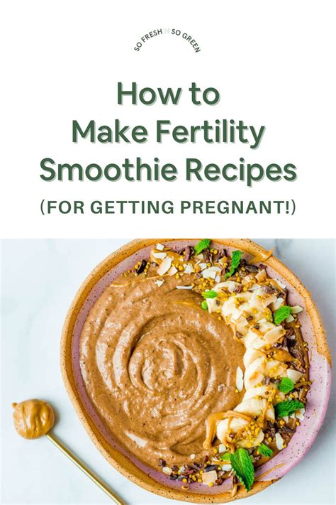 Dark Chocolate Avocado Fudge Fertility Smoothie Recipe In 2021 Fertility Smoothie Mood