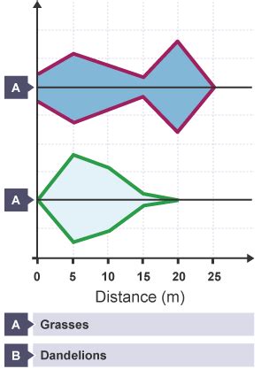 Transects Classification And Biodiversity Wjec Gcse Biology