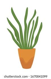 Sansevieria Sign House Plant Flowers Pot Stock Vector Royalty Free