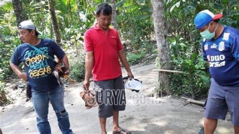 Arena Judi Sabung Ayam Di Pinggir Sungai Digerebek Polisi 10 Pelakunya