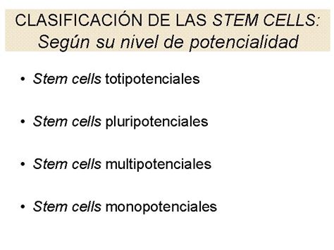 CLULAS MADRE STEM CELLS Primero Aclaremos Algunos Conceptos