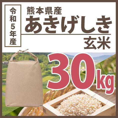 玄米 令和3年産 熊本県あきげしき棚田米 30kg 有名な高級ブランド