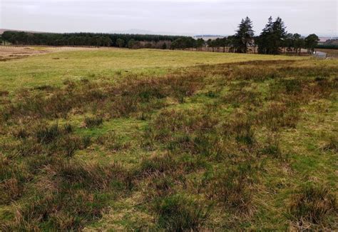 Rough Grazing And Coniferous Plantations Jim Smillie Geograph