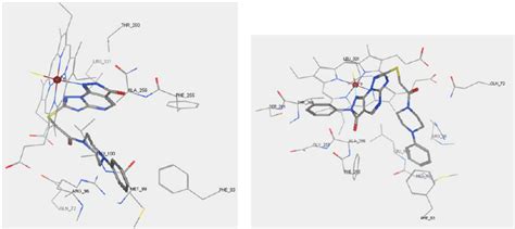 Binding Mode For Compounds A B Optimally Docked In The Ea