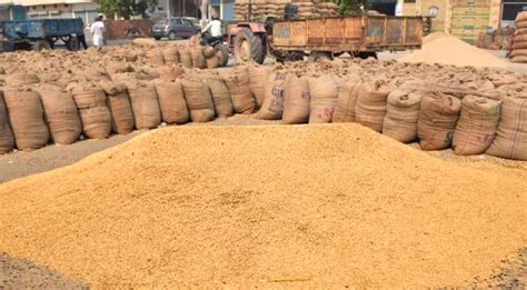 Odisha To Seal Borders When Kharif Paddy Procurement Begins Orissapost