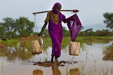 Perch Il Sudan Travolto Dalla Peggiore Epidemia Di Febbre Dengue