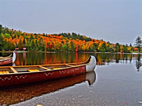 7 Fall Tastic Things To Do In Fall In Muskoka To Experience The Fall