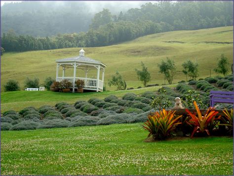 Lavender Farm Maui Kula Maui Lavender Farm Maui