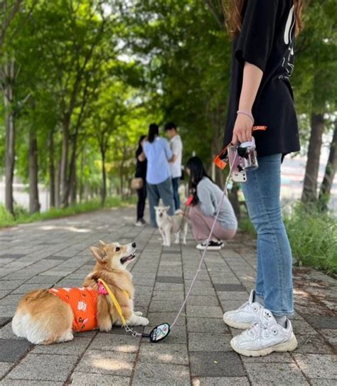 서울 반려동물 시민학교 9월 개강 한국레저신문