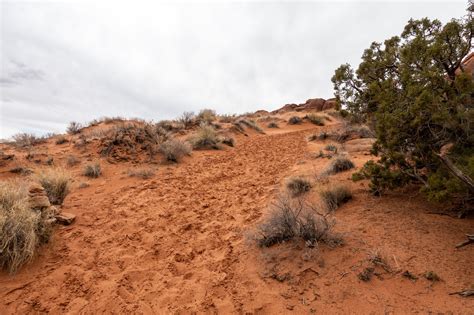 Arches: Tower Arch Trail | KTNPBlog