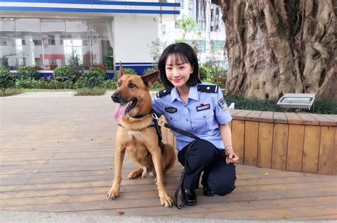 《警花与警犬》姊妹篇《警犬来啦》 全新阵容开机