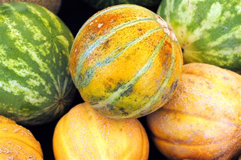 A Farmers Market Guide to Melons : Foodwise