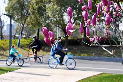 春光正好，市民出门踏青赏春色看花景