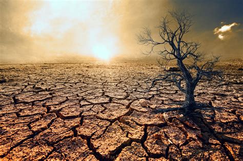 Heat and drought extremes are now occurring simultaneously - Earth.com