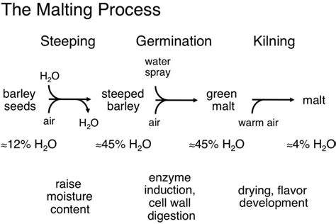 automatic malting equipment specialist malting barley germination box