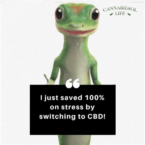 100 Best Cbd Memes Cannabidiol Life