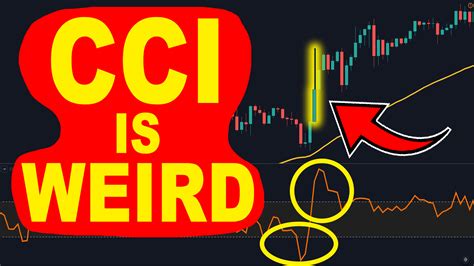 I Risked Macd Trading Strategy 100 Times Trading Rush