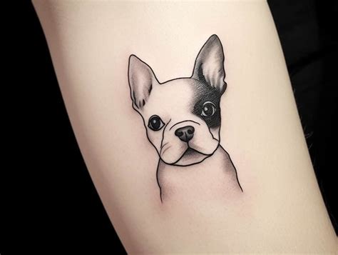 Small But Mighty The Charm Of Tiny Boston Terrier Tattoos Designs