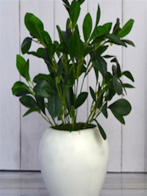 Buy Fancy Mart Green Leaves In White Pot Artificial Flowers And