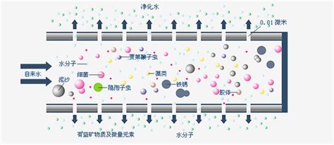 超滤家用净水器工作原理_家用超滤净水机滤芯反冲洗方法_清蓝智家净水 - 清蓝智家净水科技