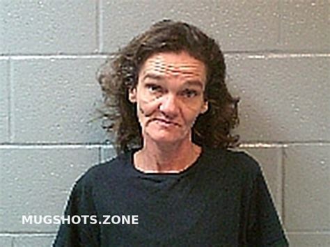 Hicks Stacy Renee Huron County Mugshots Zone